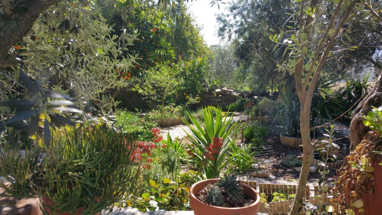 Casas Letizia E Sebastiao Holiday home Monsaraz